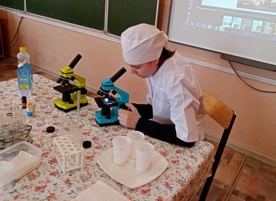 Региональный  проект “Успех каждого ребенка”